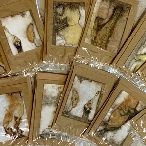 Lot de 12 cartes-cadeaux teintes écologiques