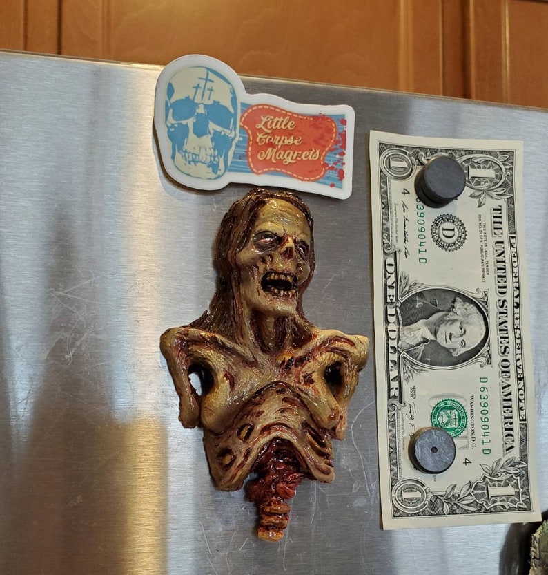 May include: A zombie-themed magnet with a detailed, decaying torso design. The magnet is affixed to a metal surface, alongside a dollar bill and a magnet with the text "Little Corpse Magnets" and a skull graphic.