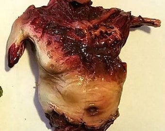 May include: A gruesome, anatomical model of a human torso, showcasing exposed flesh and internal structures. The model is predominantly red and brown, with areas of pale yellow and white, depicting a realistic, albeit disturbing, representation of human anatomy.
