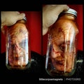 Halloween prank horror prop full size peeled face in glass jar