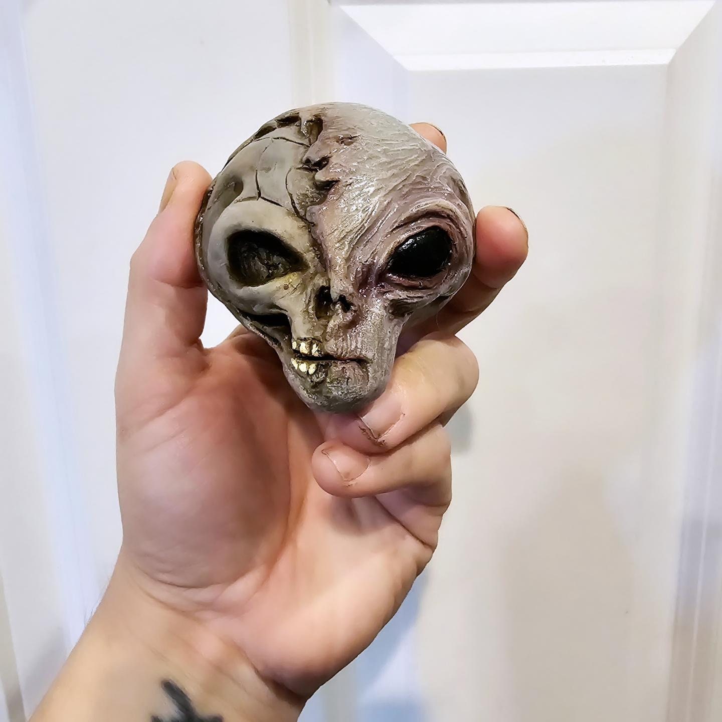 リアルエイリアンコレクション　 NO.13 FRILL NECK GREY Half Face Skull Grey Alien 3 Resin Refrigerator Magnet Art Piece
