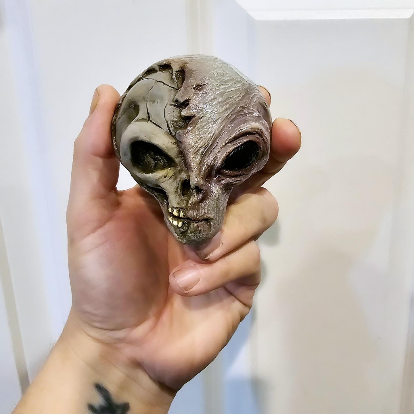 リアルエイリアンコレクション　 NO.13 FRILL NECK GREY Half Face Skull Grey Alien 3 Resin Refrigerator Magnet Art Piece