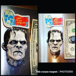 Op de afbeelding: Een grijze en witte Frankenstein-achtige monsterkopmagneet met een gestikt litteken op het voorhoofd. De magneet is bevestigd aan een metalen oppervlak met een dollarbiljet en een sticker met de tekst "Little Corpse Magnets" in rood en blauwe letters.