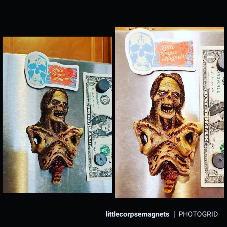 May include: A zombie-themed magnet with a detailed, decaying torso design. The magnet is brown, tan, and red, with a distressed appearance. A sticker with a skull and the text "Little Corpse Magnets" is also visible. The magnet is displayed on a metal surface.