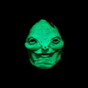 New ***glow in the dark pale lady inspired by the books scary stories to tell in the dark resin refrigerator magnet
