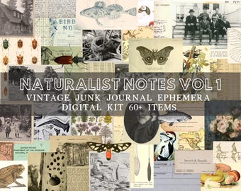 Field Notes Vintage Junk Journal Ephemera | Naturalist Notes Vol 1 60+ items