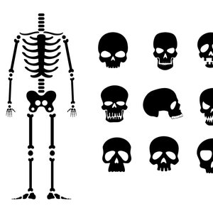 Skeleton parts kit svg halloween skeleton svg skeleton svg Halloween Svg for cricut silhouette laser cut files cameo SVG EPS PNG Dxf Pdf