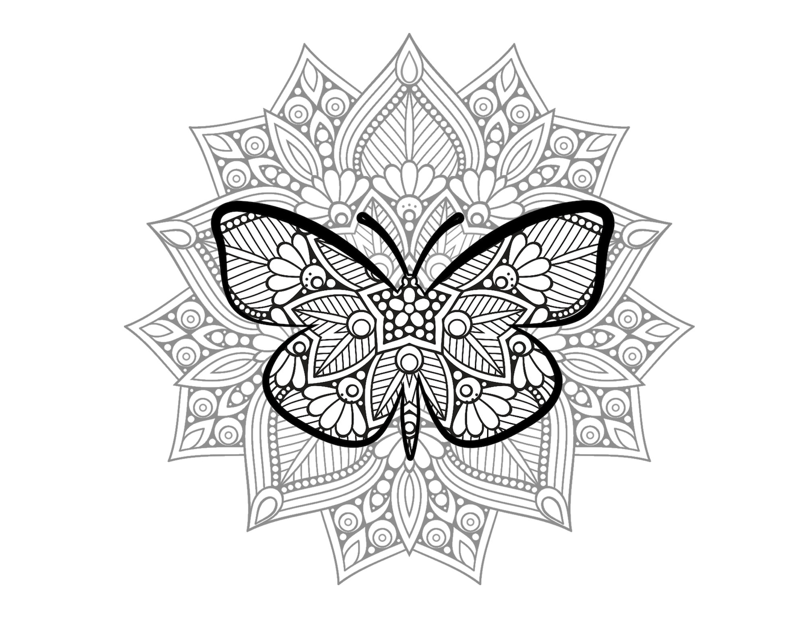 Butterfly Mandala Svg Insect Svg Wall Art Moth Svg Moth Bundle | Etsy