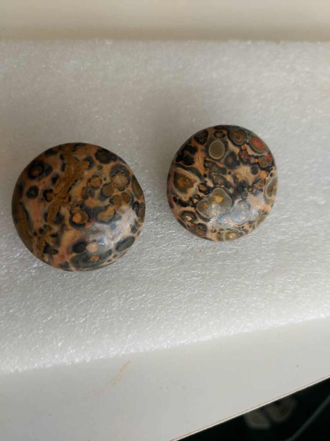 Animal Print Resin Clip On Etsy UK