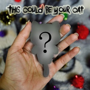 Spooky Cat Plushie Keychain, Gothic Halloween Doll Your Cat from Photo