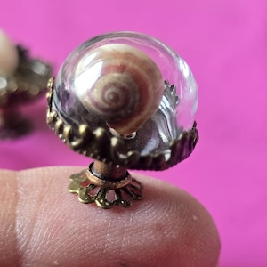 May include: A small seashell, encased in a clear glass dome, mounted on a bronze-coloured decorative base. The seashell has a spiral pattern in brown and cream. The base has a filigree design, set against a pink background.