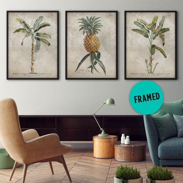 Botanical print set of 3, Framed art, Tropical prints, Palm tree print, Palm leaf print, Pineapple print, Antique botanicals, Large prints