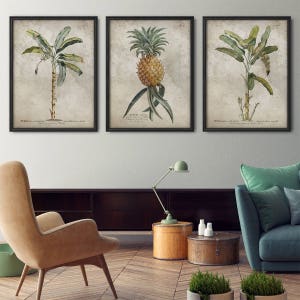 Botanical print set of 3, Tropical prints, Palm tree print, Palm leaf print, Pineapple print, Antique botanicals, Large print set, Wall art