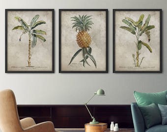 Botanical print set of 3, Tropical prints, Palm tree print, Palm leaf print, Pineapple print, Antique botanicals, Large print set, Wall art