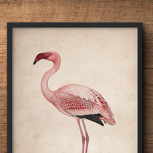 Stampa murale flamingo, arte di stampa Flamingo, fenicottero rosa, arte murale flamingo, arte flamingo, decorazione murale flamingo, poster flamingo, poster uccello