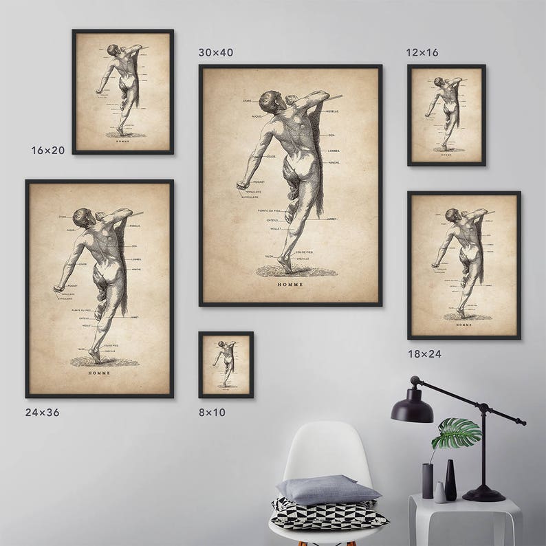 Human Anatomy Print Framed Art Medical Student Gift Anatomy Etsy