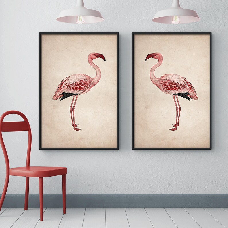 Flamingo posters, Framed print set, Pink flamingo print, Large wall art, Large framed art, Wall art, Vintage art, Bird print, Framed art set image 3