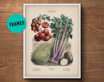 Vegetables poster, Framed art, French vegetables, Botanical print, Vegetables print, Large framed art, Botanical art, French botanical