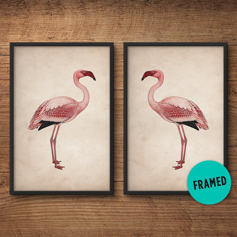 Flamingo posters, Framed print set, Pink flamingo print, Large wall art, Large framed art, Wall art, Vintage art, Bird print, Framed art set image 1