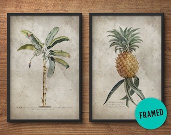 Botanische print set van 2, Ingelijste kunst, Tropische prints, Palm boom print, Palm blad print, Ananas print, Antieke botanicals, Grote prints