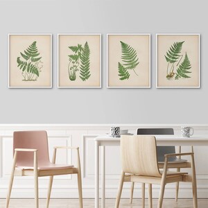 Botanical print set of 4, Fern prints, Botanical illustrations, Large botanical prints, Vintage botanical, Antique botanical, Kitchen prints