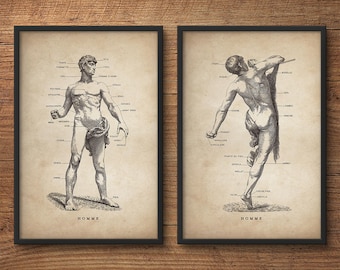 Anatomy poster set of 2 – Anatomy art decor, Human anatomy posters, Anatomy print, Anatomy posters, Anatomy illustrations, Medical gift