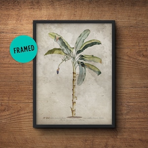 Palm tree print, Framed, Palm leaves print, Botanical illustration, Palm leaf print, Palm wall art, Banana leaves print, Tropical print
