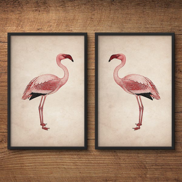Flamingo posters, Flamingo prints, Flaming wall art, Flamingo art, Pink flamingo, Vintage print set, Pink flamingo print, Large wall art