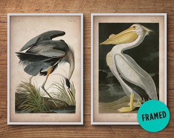 Audubon birds, Framed print set, Pelican print, Heron print, Audubon print, Birds of America, John James Audubon, Framed print, Wall art