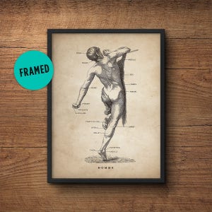 Human anatomy print, Framed art, Medical student gift, Anatomy poster gift, Anatomy art decor, Human anatomy poster, Anatomy decor