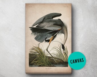 Audubon Bird Print, Canvas, Heron Print, Birds of America, John James Audubon, Large Print, Wall Art, Pink Flamingo, Large wall art