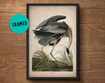 Heron bird print, Framed art, Heron print, Audubon print, Audubon print, Birds of America, John James Audubon, Framed print, Wall art