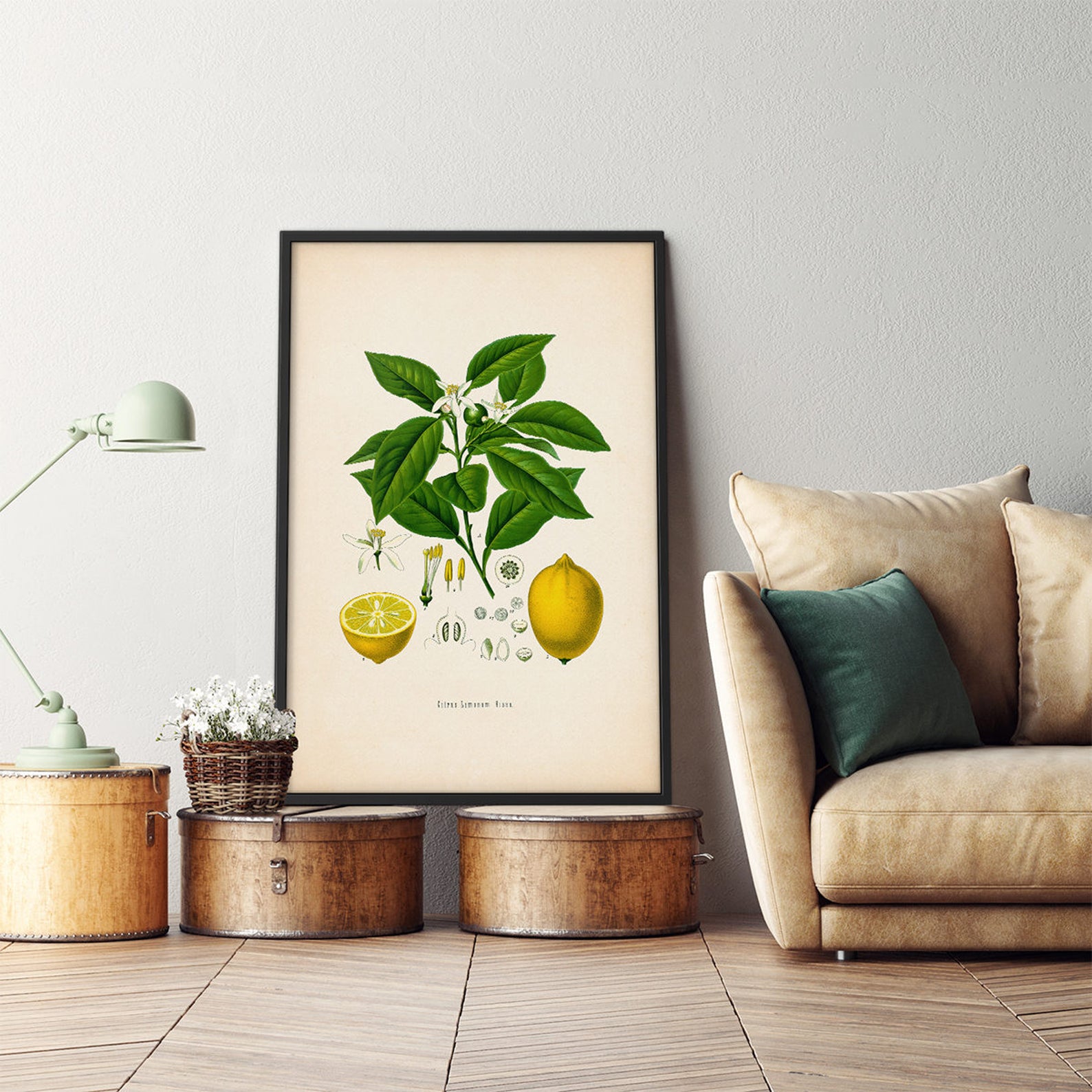 Lemon Print Framed Art Lemon Wall Print Lemon Poster Etsy