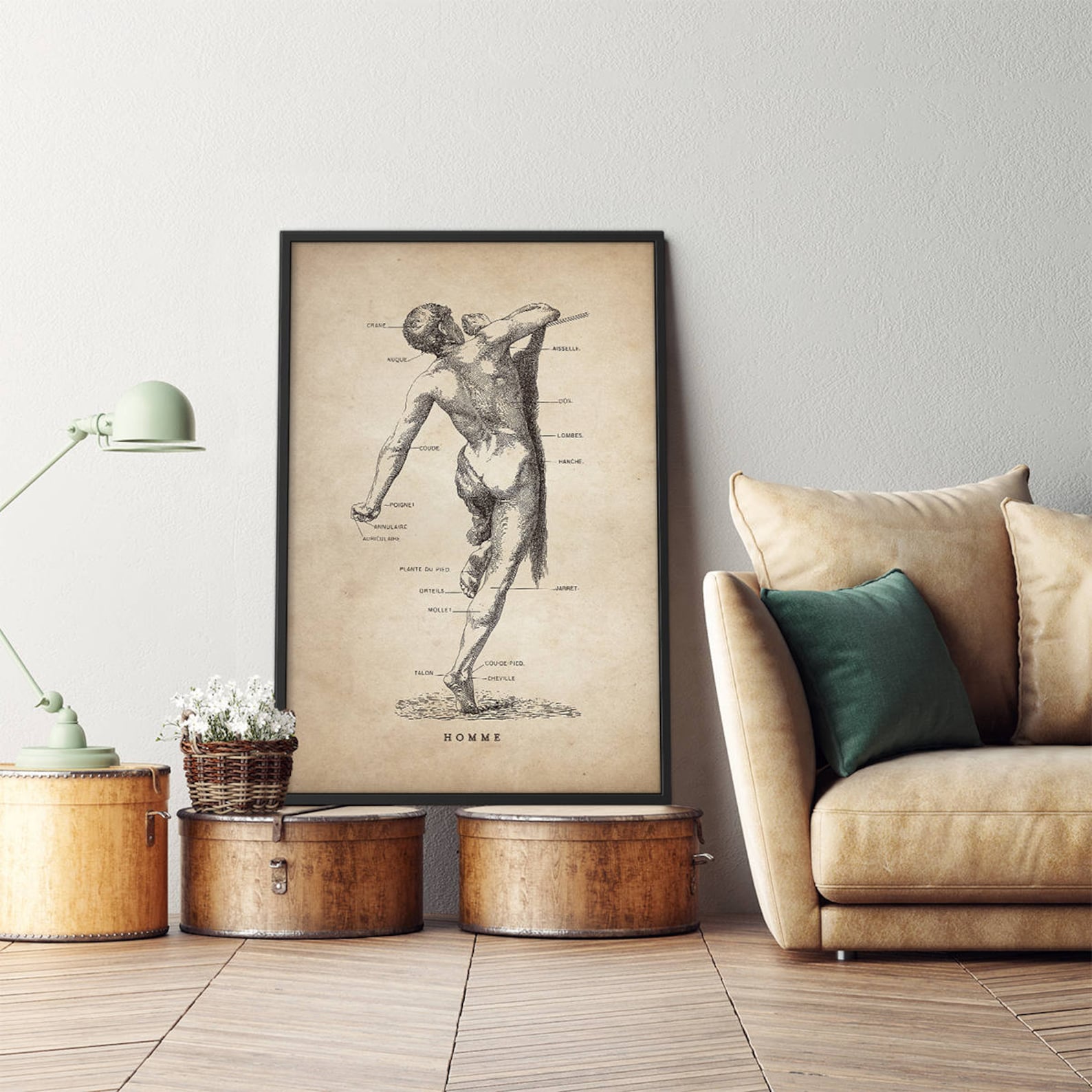 Human Anatomy Print Framed Art Medical Student Gift Anatomy Etsy