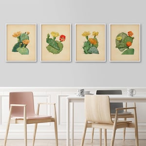 Kaktus Drucke, 4er Set, Botanisches Druckset, Druckset, Kaktus Poster, Große Drucke, Kaktus Wandkunst, Antik botanisch, Vintage botanisch