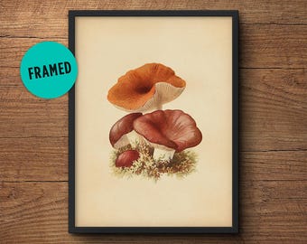 Framed botanical print, Mushroom poster, Mushroom print, Botanical print, Framed art, Vegetable print, Kitchen wall art, Kitchen decor