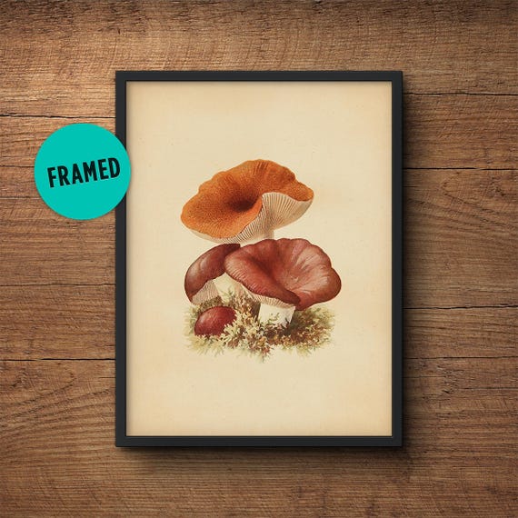 Framed botanical print, Mushroom poster, Mushroom print, Botanical print, Framed art, Vegetable print, Kitchen wall art, Kitchen decor