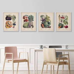 Zestaw oprawionych botanicznych wydruków, Francuskie warzywa sztuka kuchenna, Ilustracja botaniczna, Plakat warzywa, Sztuka botaniczna vintage, Sztuka w ramie