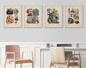 Framed botanical prints set, French vegetables kitchen art,  Botanical illustration, Vegetables poster, Vintage botanical art, Framed art