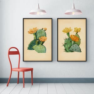 Kaktus Drucke, 2er Set – Kaktus Poster, Großer Kaktus Druck, Botanische Illustration, Kaktus Wandkunst, Druckset, Vintage botanischer Druck