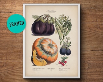 Framed botanical print, Framed art, Vegetables poster, Vintage vegetable print, Botanical illustration, Botanical art, Large wall art
