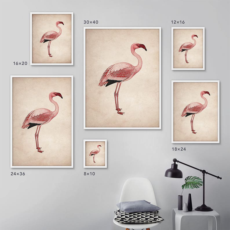 Flamingo print art, Framed art, Flamingo wall print, Flamingo poster, Pink flamingo, Flamingo wall art, Flamingo art, Flamingo wall decor 画像 4