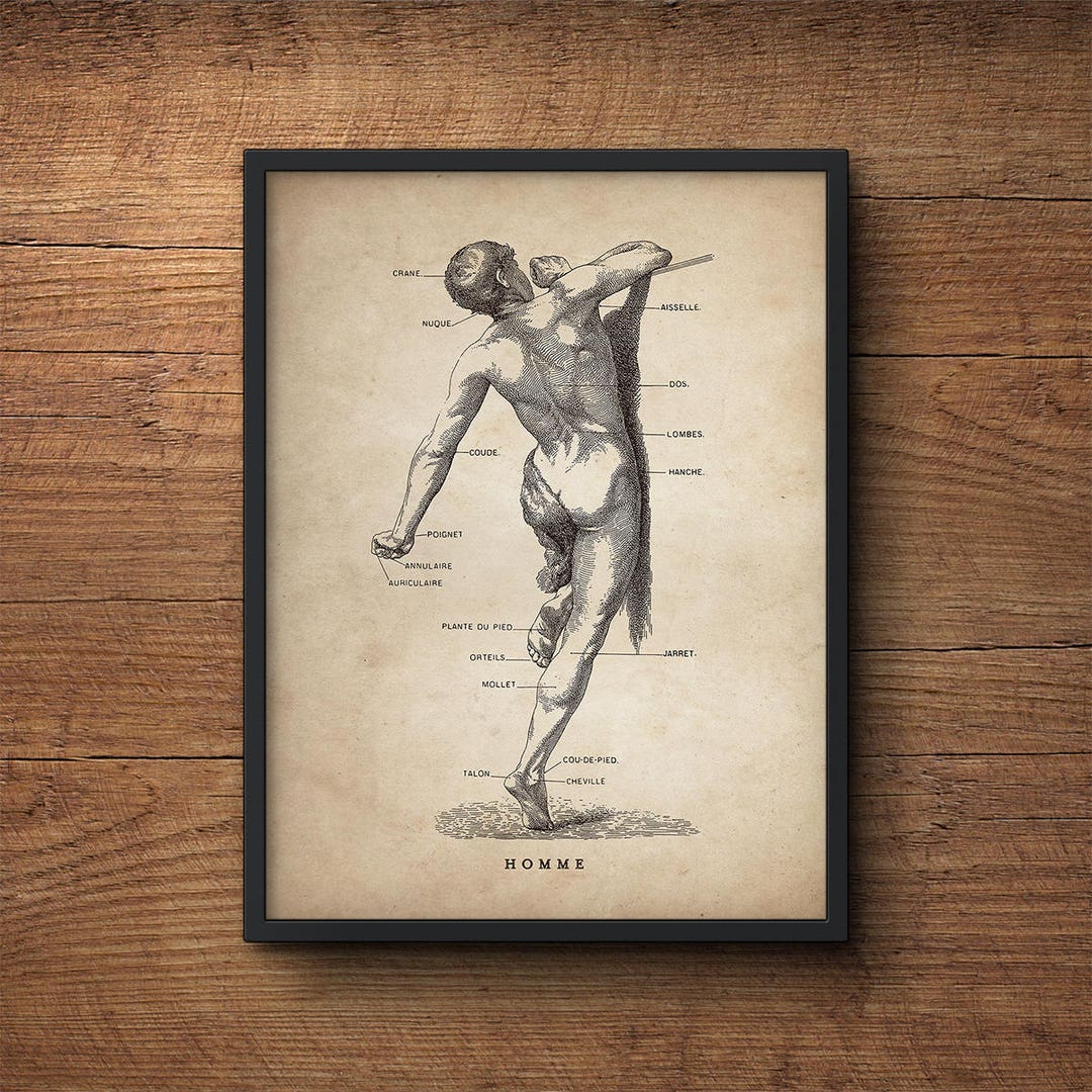 Human Anatomy Print, Medical Student Gift, Anatomy Poster Gift, Anatomy ... Biology Diagrams