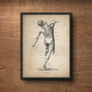 Human anatomy print, Medical student gift, Anatomy poster gift, Anatomy art decor, Human anatomy poster, Anatomy decor, Human male print