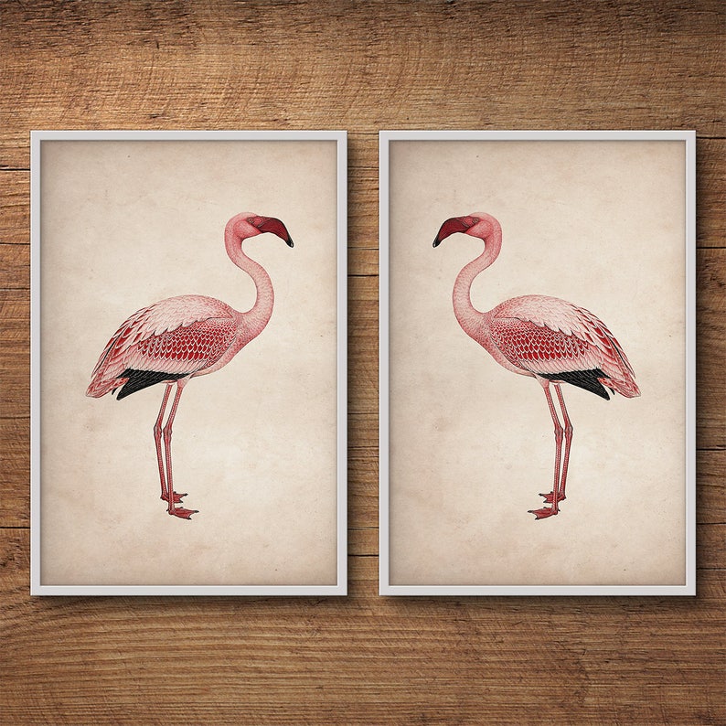 Flamingo posters, Framed print set, Pink flamingo print, Large wall art, Large framed art, Wall art, Vintage art, Bird print, Framed art set image 2