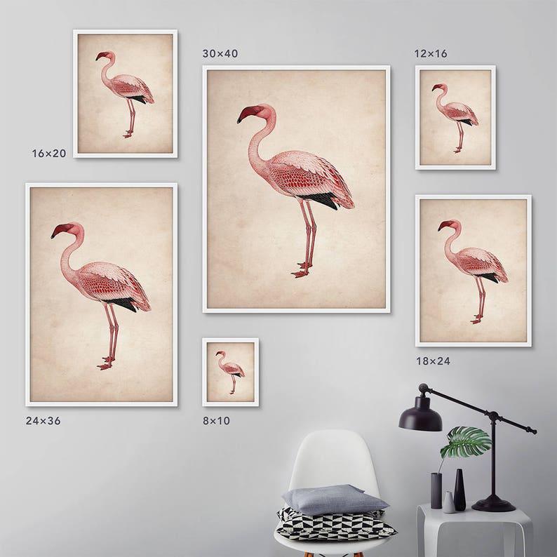 Flamingo posters, Framed print set, Pink flamingo print, Large wall art, Large framed art, Wall art, Vintage art, Bird print, Framed art set image 4