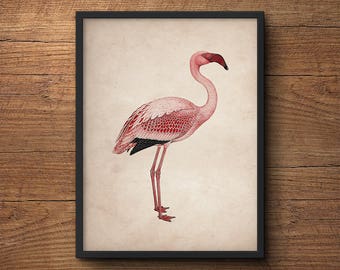 Flamingo print art, Flamingo wall print, Flamingo poster, Pink flamingo, Flamingo wall art, Flamingo art, Flamingo wall decor, Bird print