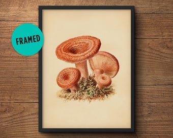 Framed botanical art, Mushroom print, Mushroom poster, Vintage botanical, Vegetable print, Kitchen wall art, Kitchen decor, Vintage print