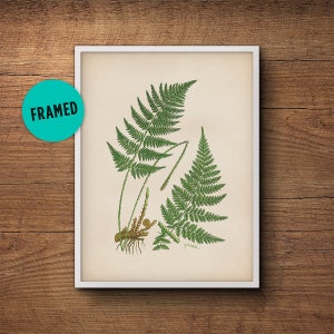 Framed leaf print of ferns, Fern leaf print, Fern wall print, Vintage botanical print, Framed botanical art, Framed art, Kitchen decor