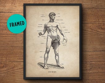 Poster di anatomia, arte incorniciata, corpo umano, illustrazione anatomia, decorazione anatomia, poster di anatomia umana, stampa anatomia, regalo studente di medicina